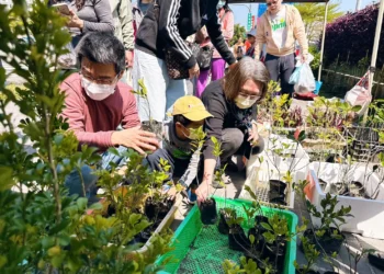 回收也能種下綠意 中市環保局植樹月推換苗換肥落實淨零綠生活