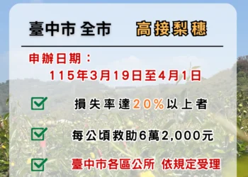 中市高接梨穗災損補助　3/19-4/1受災農民可申請現金救助