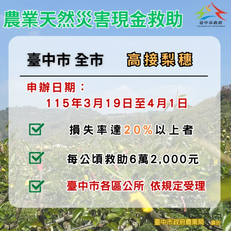 中市高接梨穗災損補助　3/19-4/1受災農民可申請現金救助