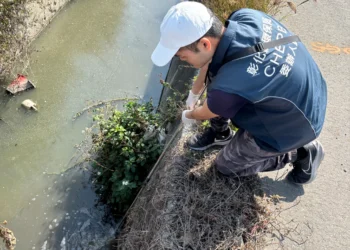 木棉花季到來 啟動東螺溪畜牧專案稽查
