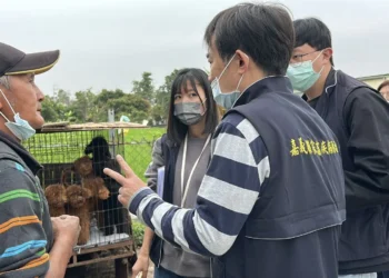 嘉縣查獲黑心繁殖狗場　63隻品種犬全數沒入　最高可罰300萬