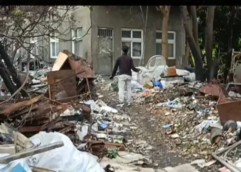 和美鎮民眾飼養犬隻危害公共安全　彰化縣動防所強力介入依法究責