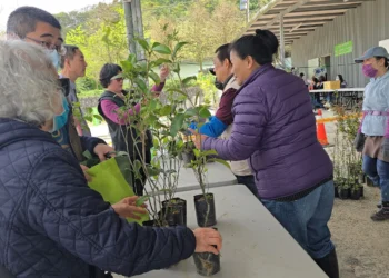 基隆「發票換樹苗」人氣爆棚　3509株苗木半日搶光
