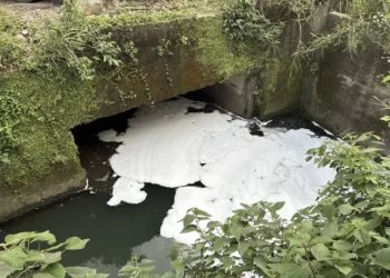 消防泡沫外洩釀污染 基隆碇內大排出現大片白色泡沫 業者遭停工