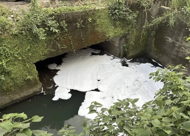 消防泡沫外洩釀污染　基隆碇內大排出現大片白色泡沫　業者遭停工