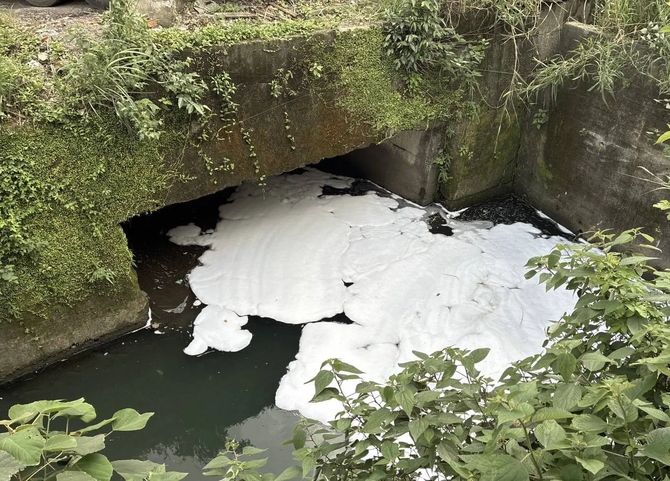 消防泡沫外洩釀污染　基隆碇內大排出現大片白色泡沫　業者遭停工