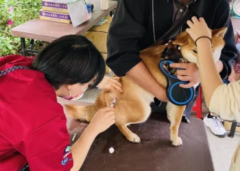 花伴野餐迎春趣　北市動保處推動保知識與免費狂犬病疫苗服務