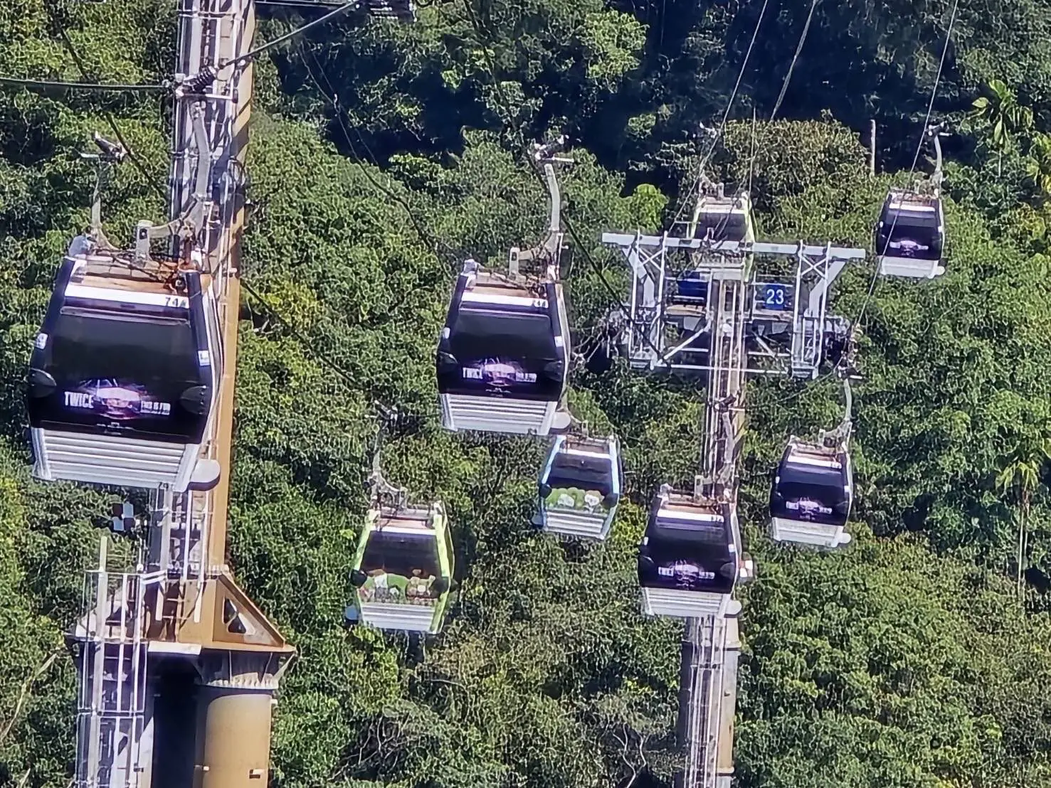 TWICE來臺開唱　貓空纜車9台主題車廂搶先應援