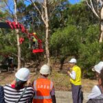 韌性城市從「樹」開始！　中市建設局培訓百名人員 精進行道樹高空修剪專業職能