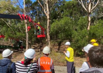 韌性城市從「樹」開始！　中市建設局培訓百名人員 精進行道樹高空修剪專業職能