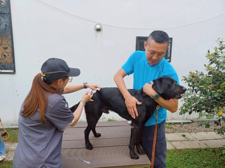 台中市搜救犬與警犬完成疫苗注射 強化動物防疫與公共安全