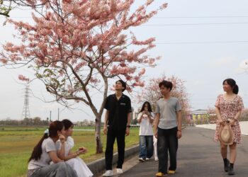 仁德滯洪池花旗木綻開 中華醫大師生分享最新花況 嫣紅花朵配上綠草如茵景致令人陶醉