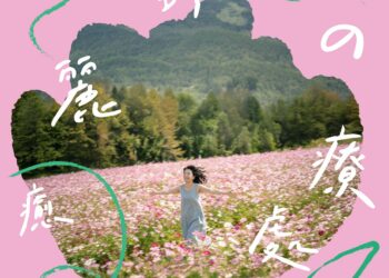 Bossa Nova女王回來了！小野麗莎夏日巡演登台 北高兩地開唱