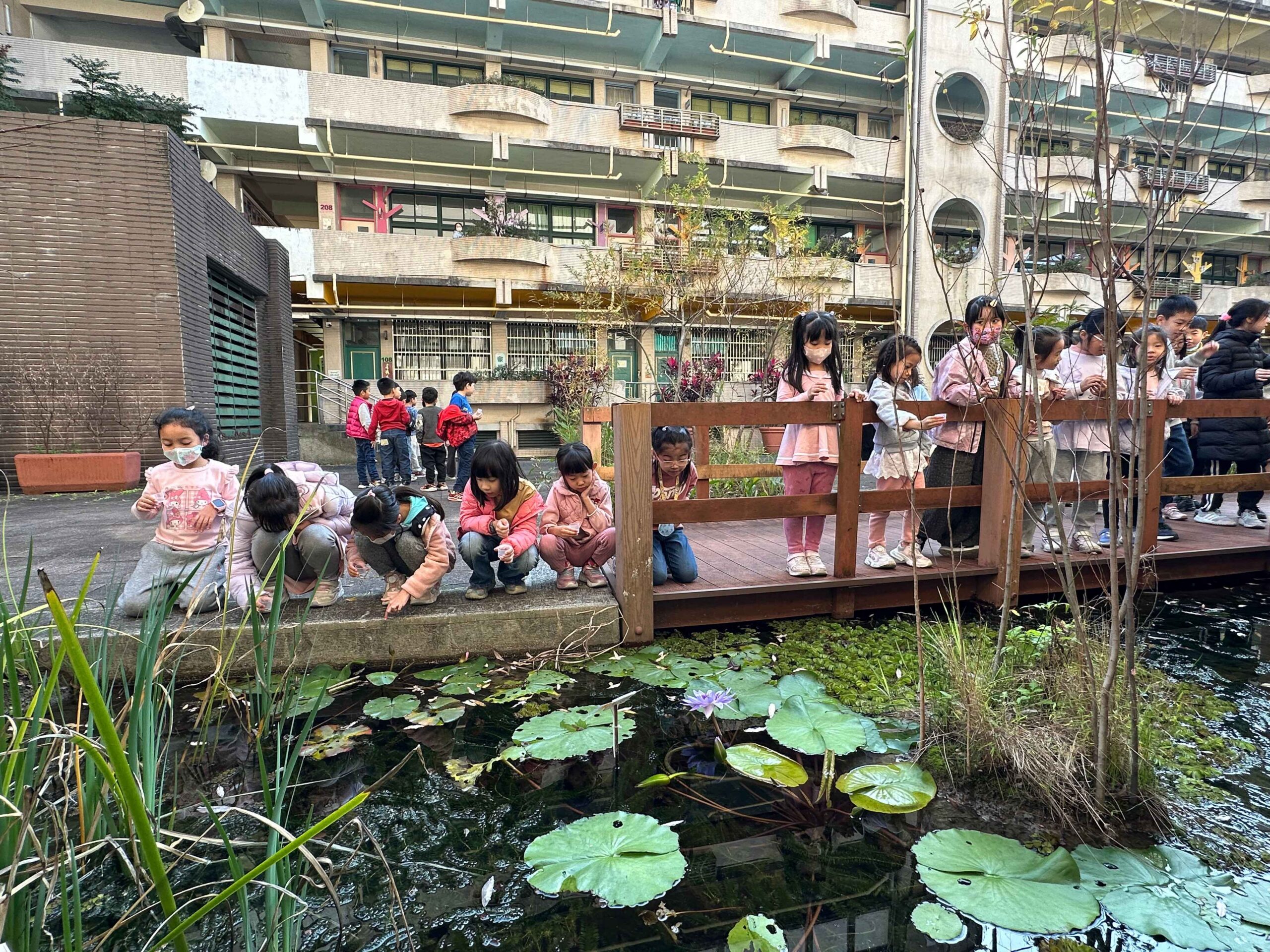 仲夏夜之夢 信義國小師生喜迎火金姑回家