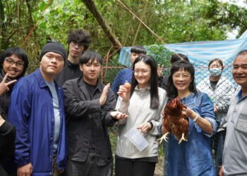 東華「雞老師」第九年進駐校園  從課程到行動、走入社區的人才培育路徑逐步成形