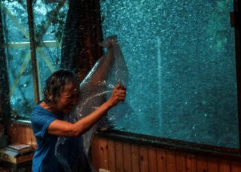 陸弈靜迎戰風雨奮不顧身 颱風吹到抱電桿
