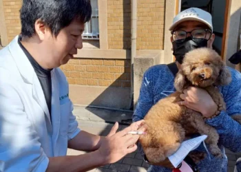 動保處深入偏鄉辦理寵物巡迴注射 守護毛孩健康