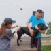 台中市搜救犬與警犬完成疫苗注射　強化動物防疫與公共安全