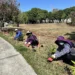 中央公園啟動原生植物培育行動! 建設局攜手科博館打造都市原生種苗庫 10 中央公園啟動原生植物培育行動! 建設局攜手科博館打造都市原生種苗庫
