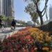 台中迎新花景 道路、公園同步變身 15 台中迎新花景 道路、公園同步變身