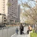 梅川沿岸梅花盛開! 中市推動人本改善 串聯市區賞花更安全舒適 13 梅川沿岸梅花盛開! 中市推動人本改善 串聯市區賞花更安全舒適