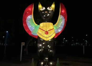 「動物有家 城市有愛」　農業局燈區結合環保SDGs點亮永續價值