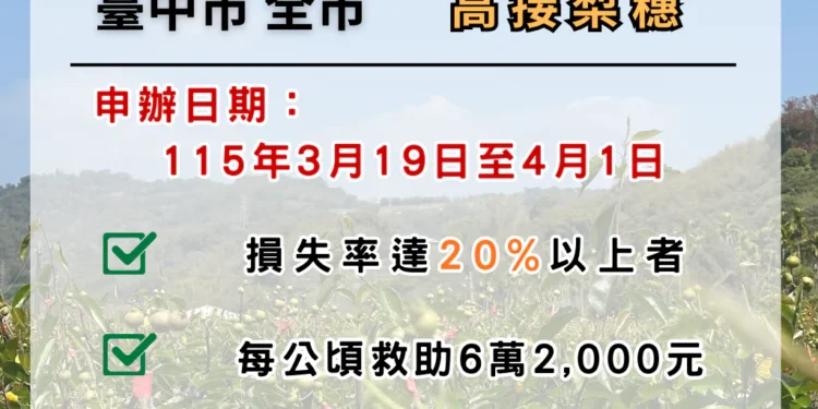 中市高接梨穗災損補助 3/19-4/1受災農民可申請現金救助 1 1 73