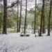 不必出國也有雪國感!梨山冬季限定吸引旅客上山 12 不必出國也有雪國感!梨山冬季限定吸引旅客上山