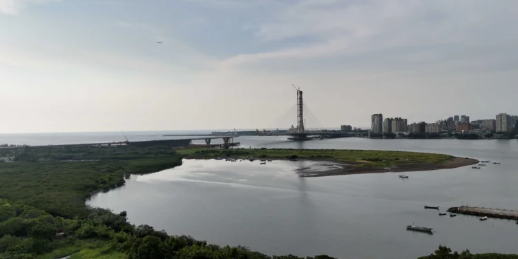 響應世界濕地日 走訪挖子尾自然保留區 觀察濕地秘境的冬季脈動 1 2222 a7scv6 scaled