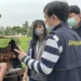 嘉縣查獲黑心繁殖狗場 63隻品種犬全數沒入 最高可罰300萬 10 嘉縣查獲黑心繁殖狗場 63隻品種犬全數沒入 最高可罰300萬