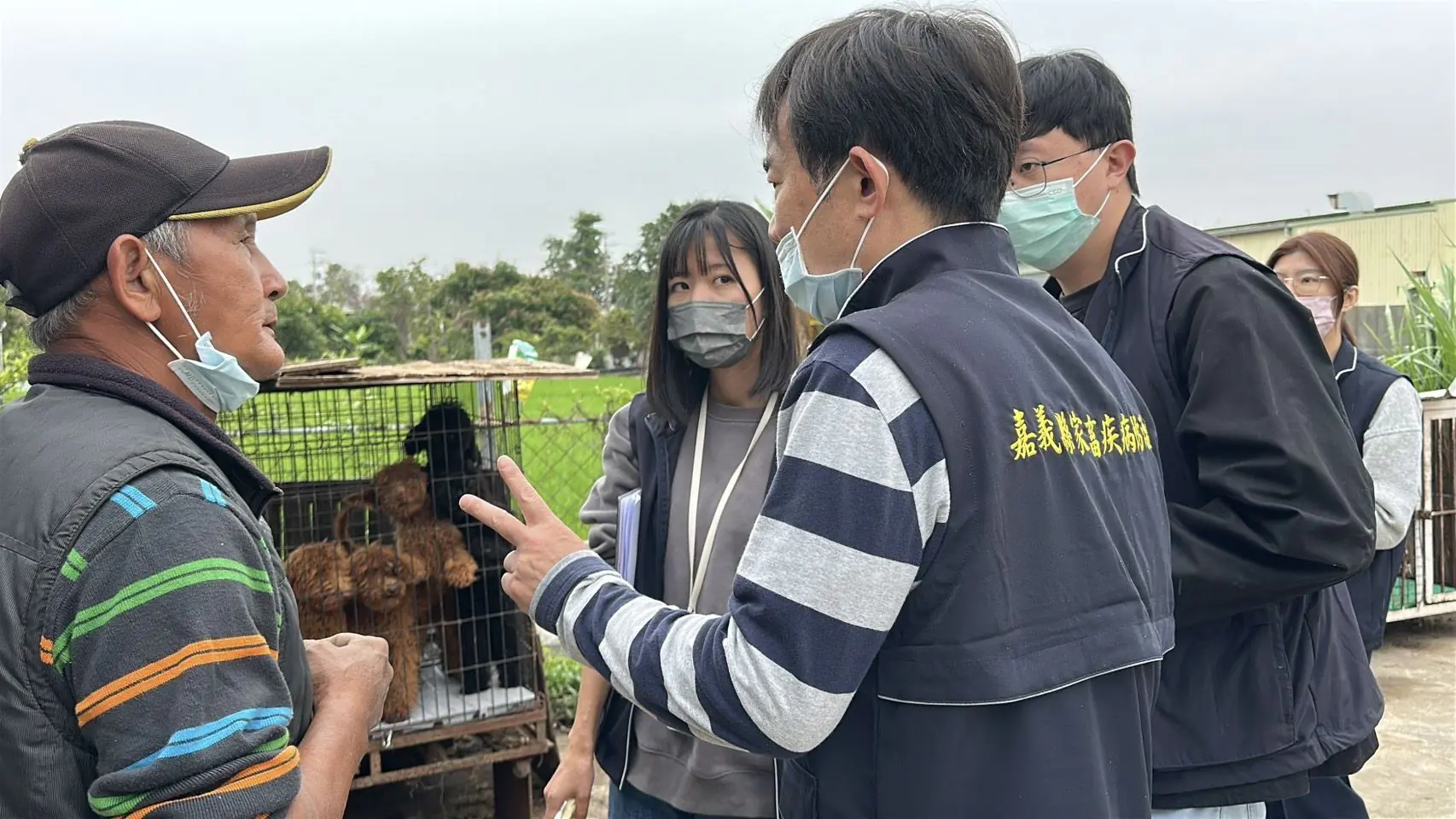 嘉縣查獲黑心繁殖狗場 63隻品種犬全數沒入 最高可罰300萬 1 27-13
