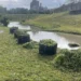 防洪升級 北市大溝溪生態治水園區完成清疏 14 防洪升級 北市大溝溪生態治水園區完成清疏