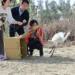 軟頸虛弱倒臥鹽田到振翅重返天際　嘉縣成功救援黑面琵鷺野放