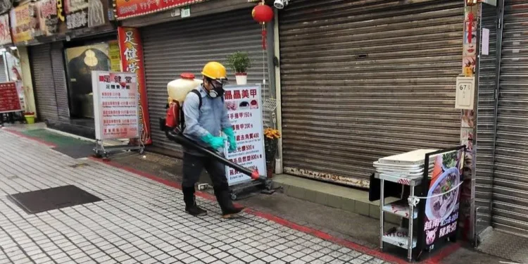 北市防治鼠類 各局處同步啟動環境整頓及投藥作業