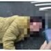 婦突倒街頭拒送醫　彰化警貼心護送返家獲讚
