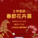 士林官邸蝴蝶蘭、文心蘭交織成瀑　春節走春必訪花藝秘境