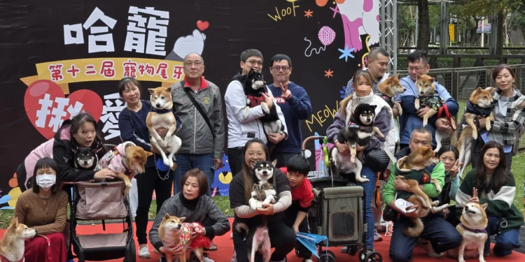 「毛孩揪愛力」尾牙暖心登場!北市寵物尾牙推認養、送健診 邀市民為毛孩加菜 9 92419aed 4f69 4288 ba59 f6cec9eef020 1 yeoo1p scaled