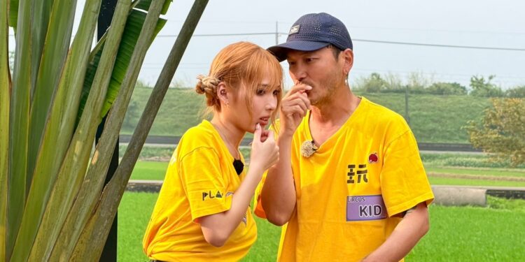 女星廝殺爆火藥味 前後輩大亂鬥 真實版天堂與地獄之爭 1 E5B7A6E8B5B7E89DB6E9A699E38081KIDE38082EFBC88E59C96EFBC9AE7B69CE8979DE78EA9E5BE88E5A4A7EFBC89