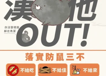 大掃除別輕忽！漢他病毒隨塵揚　嘉市衛生局籲清理雜物先做「這件事」