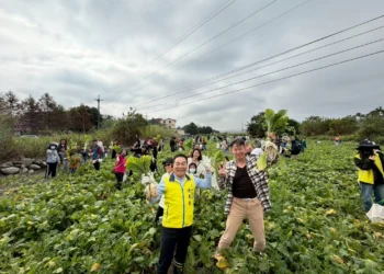 步步高升好彩頭　竹山鎮拔蘿蔔體驗活動加碼　現炸蘿蔔糕