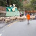 清境奔羊節 仁愛警加強交通疏導 12 清境奔羊節 仁愛警加強交通疏導