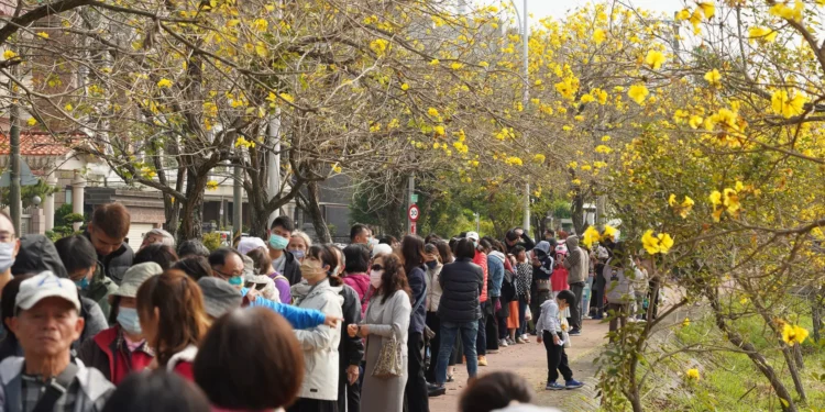 來嘉義追黃花海!「潮風鈴・黃花瘋音樂市集」攜手打造春日最Chill派對 1 IMG 8048
