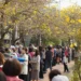 來嘉義追黃花海！「潮風鈴・黃花瘋音樂市集」攜手打造春日最Chill派對