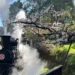 搭百歲火車追櫻花!阿里山賓館推「春櫻森活」專案 贈賞櫻隨行包 11 搭百歲火車追櫻花!阿里山賓館推「春櫻森活」專案 贈賞櫻隨行包