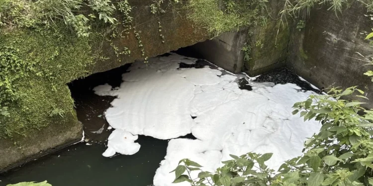 消防泡沫外洩釀污染 基隆碇內大排出現大片白色泡沫 業者遭停工 1 IMG 8801
