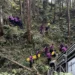 南投杉林溪遊園車擦撞山壁墜20米山谷 66歲男不治、7人送醫 8 南投杉林溪遊園車擦撞山壁墜20米山谷 66歲男不治、7人送醫