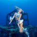賴心雅一頭栽入水 11年練成水模教母真人版美人魚 16 賴心雅一頭栽入水 11年練成水模教母真人版美人魚