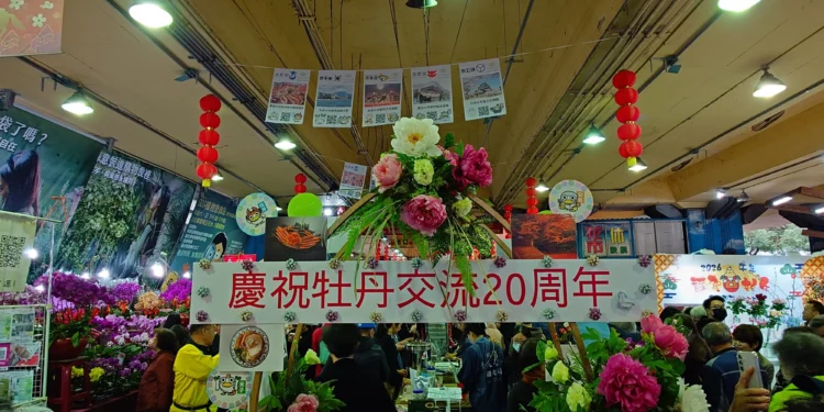 日式牡丹驚艷建國花市 台日花卉展、島根貓熱鬧迎春 1 b5c55693 1de3 4e46 9fe5 72b9516045e3 4Yd008 scaled