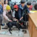 湖田實小3肢校犬「安生」進駐校長室 打造校園溫暖生命教育 13 dfa5db4f 699e 4aaa bb2f f690c9358fcc 2 BSUDaf