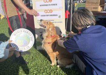 臺北市動物保護3年有成　動物友善服務再升級
